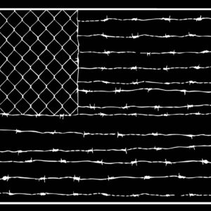 Chain Link and Barbed Wire American Flag Banner