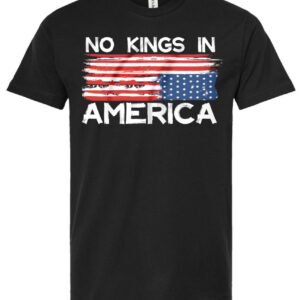 No Kings in America Unisex T-shirt